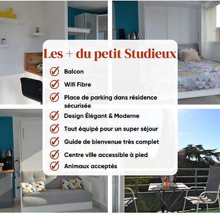 Le Petit Studieux - Parking - Animaux Acceptes - Centre Ville Accessible A Pied Albi Luaran gambar