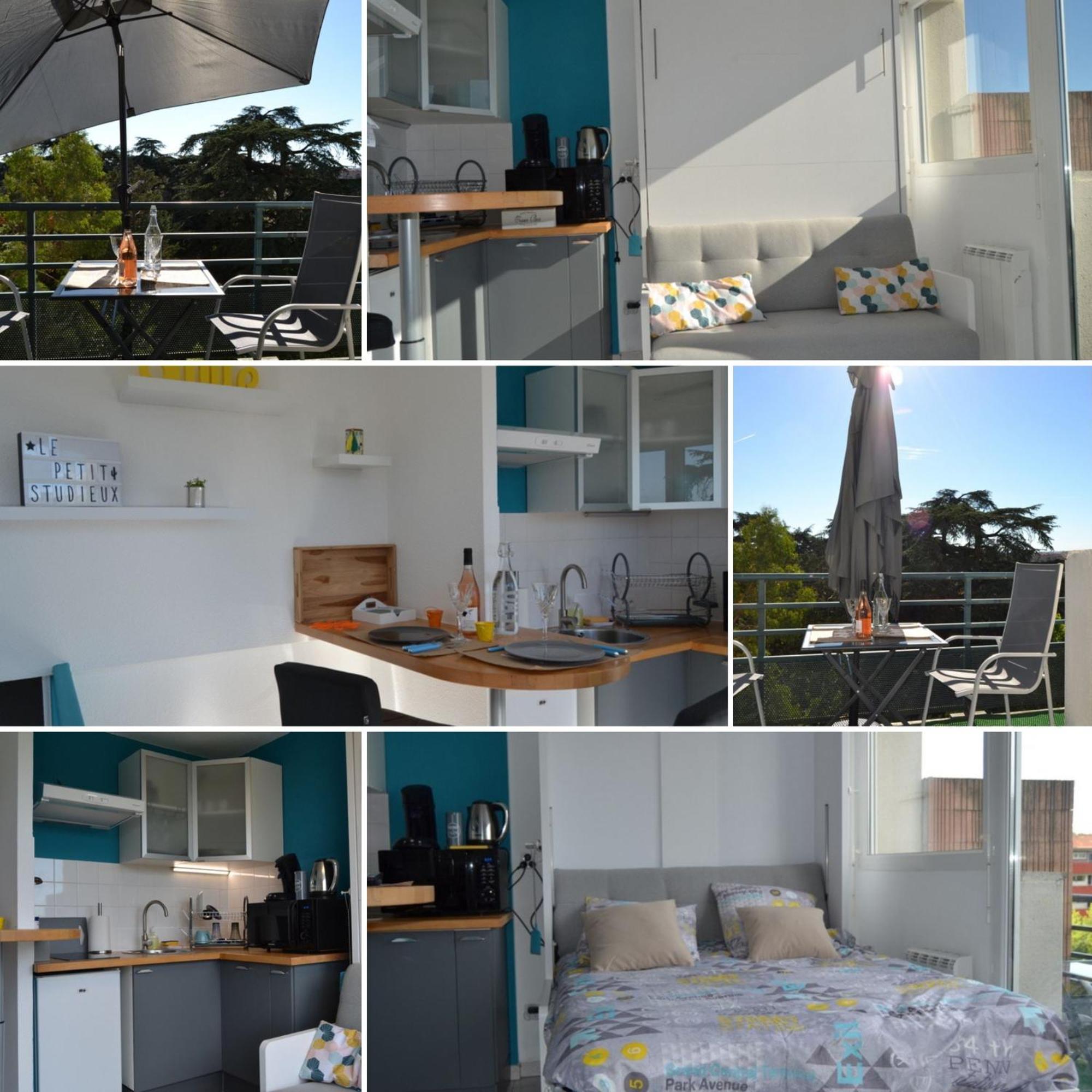 Le Petit Studieux - Parking - Animaux Acceptes - Centre Ville Accessible A Pied Albi Luaran gambar