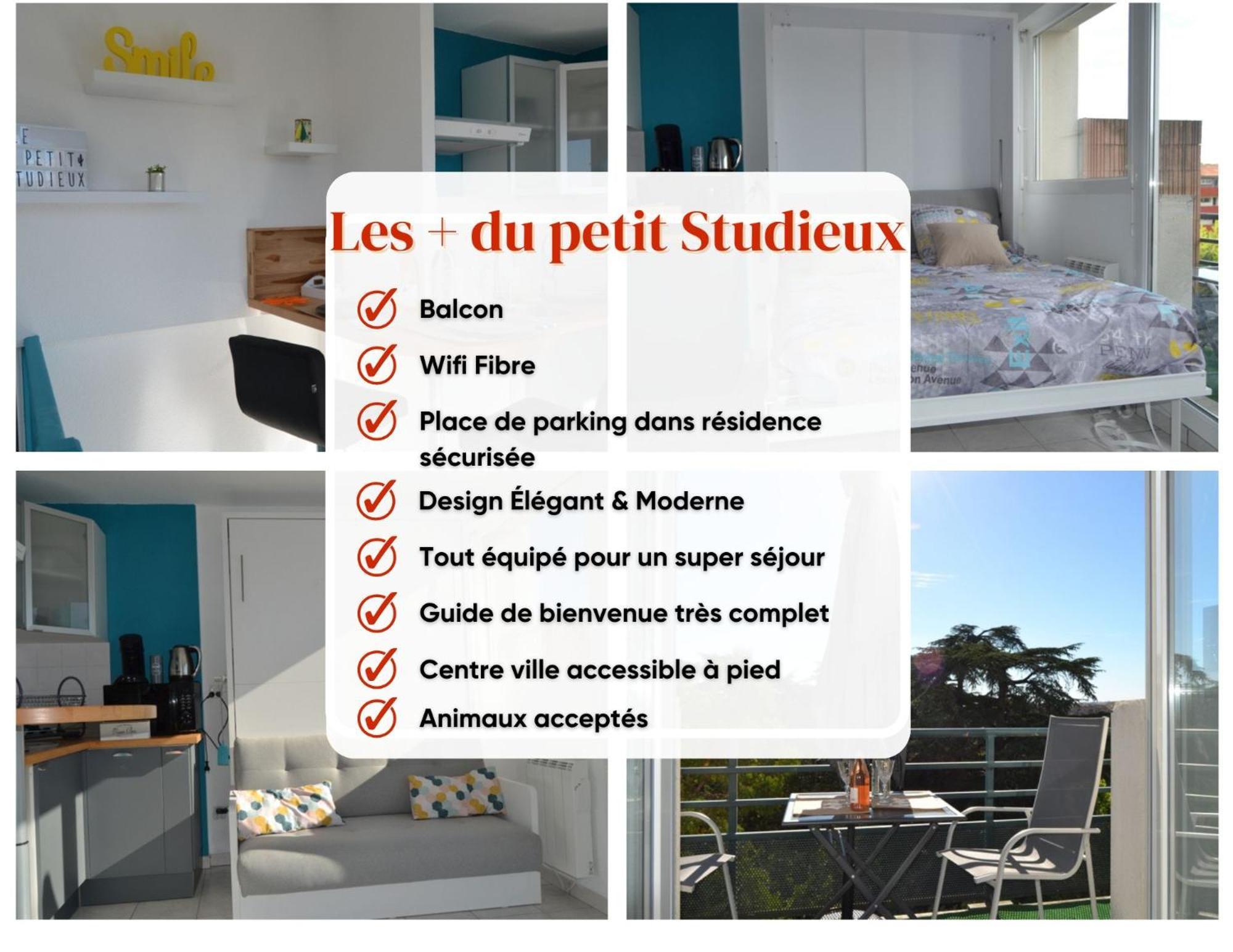 Le Petit Studieux - Parking - Animaux Acceptes - Centre Ville Accessible A Pied Albi Luaran gambar
