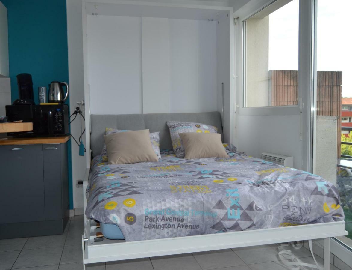 Le Petit Studieux - Parking - Animaux Acceptes - Centre Ville Accessible A Pied Albi Luaran gambar