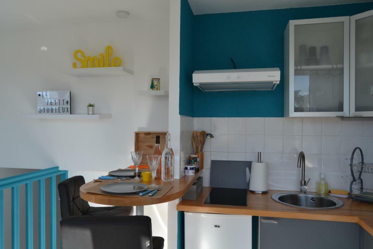 Le Petit Studieux - Parking - Animaux Acceptes - Centre Ville Accessible A Pied Albi Luaran gambar
