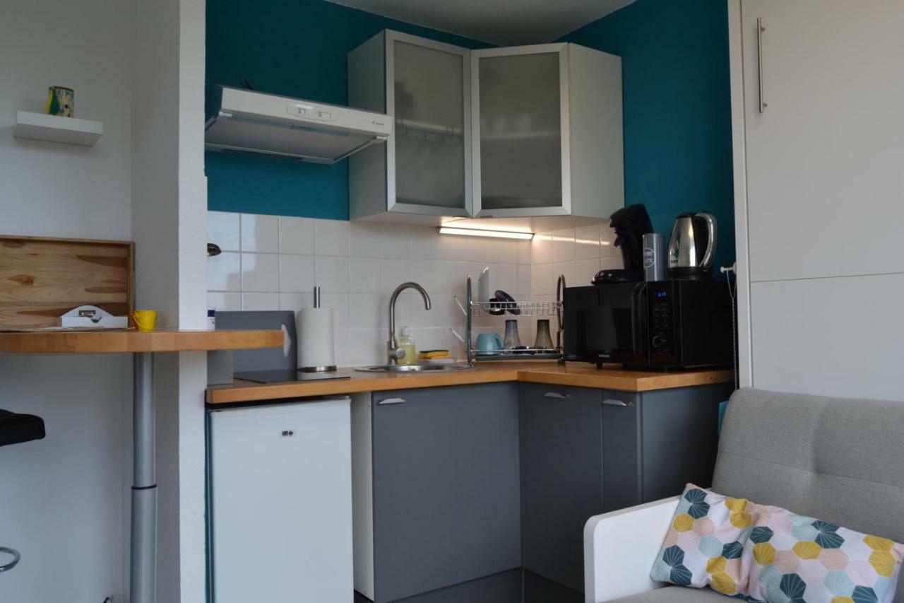 Le Petit Studieux - Parking - Animaux Acceptes - Centre Ville Accessible A Pied Albi Luaran gambar