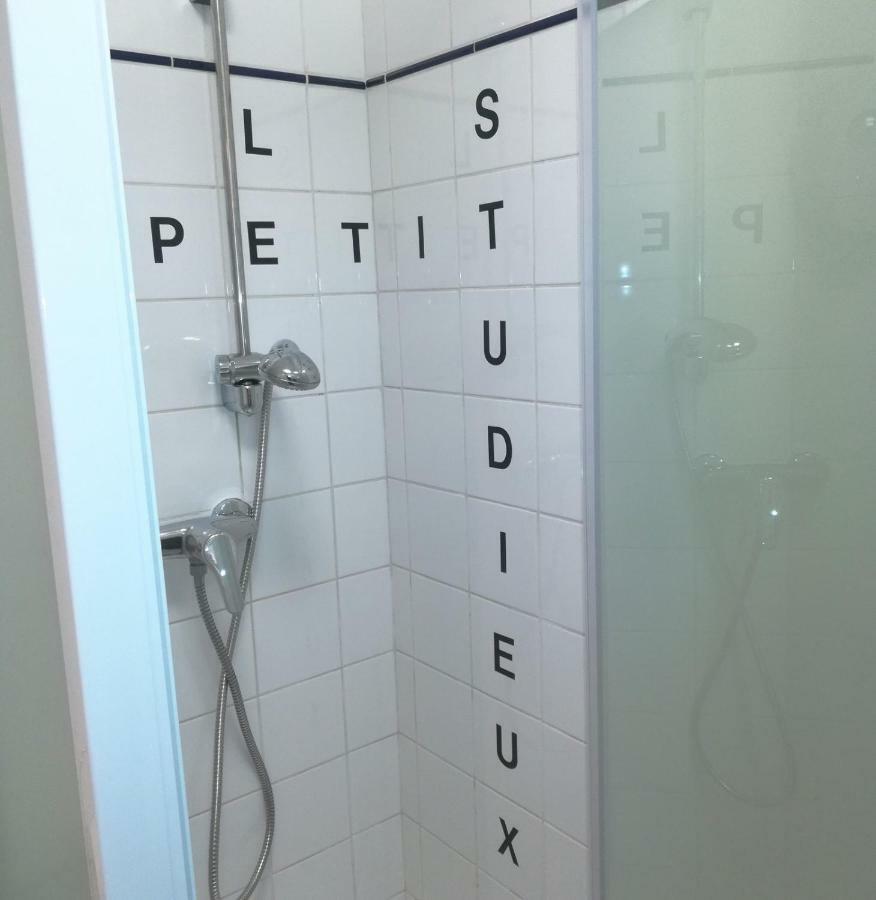 Le Petit Studieux - Parking - Animaux Acceptes - Centre Ville Accessible A Pied Albi Luaran gambar